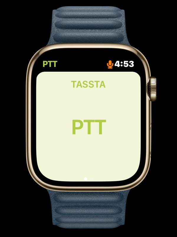 watch_tassta.jpg__600x800_q85_subsampling-2(1)